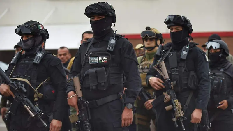 Elementos de Seguridad Pública / Policías Estatales de Durango